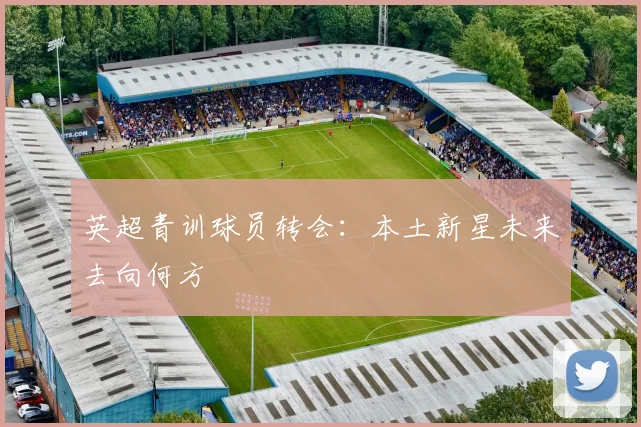 英超青训球员转会：本土新星未来去向何方