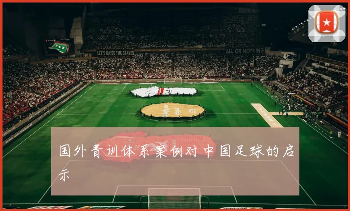 国外青训体系案例对中国足球的启示
